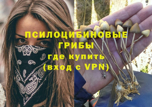хмурый Белоозёрский